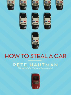 cover image of How To Steal a Car